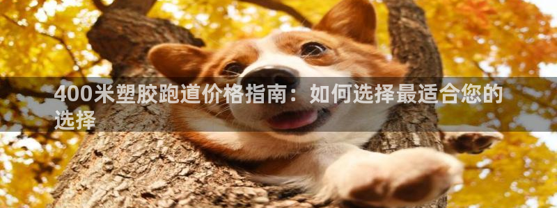 谈球吧打不开了：400米塑胶跑道价格指南：如何选择最