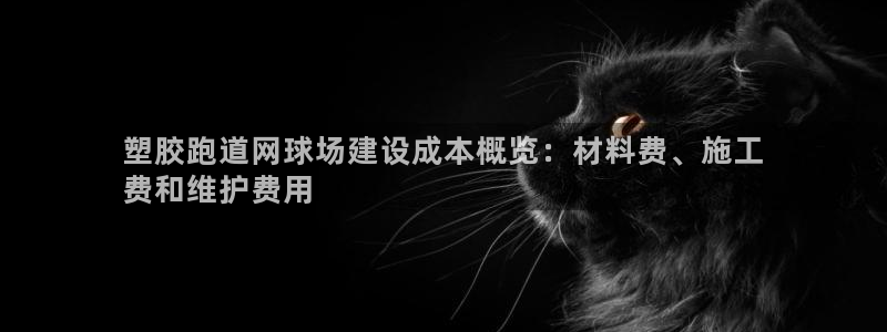 谈球吧体育app下载足球直播软件：塑胶跑道网球场建设成本概览：材料费、施工
费和维护费用