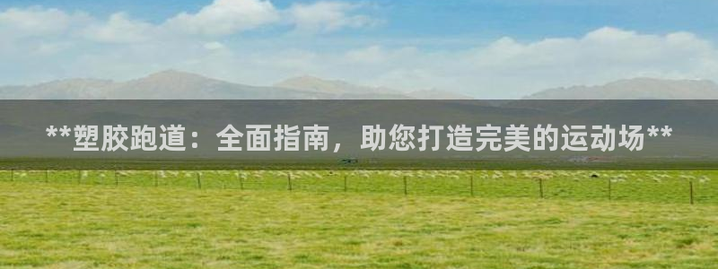 谈球吧官网首页：**塑胶跑道：全面指南，助您打造完美的运动场**