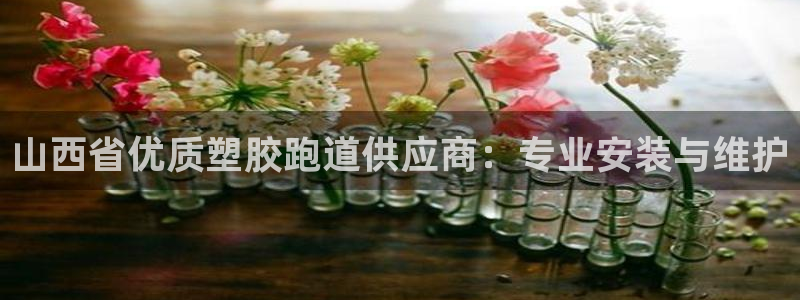 谈球吧登录地址：山西省优质塑胶跑道供应商：专业安装与维护