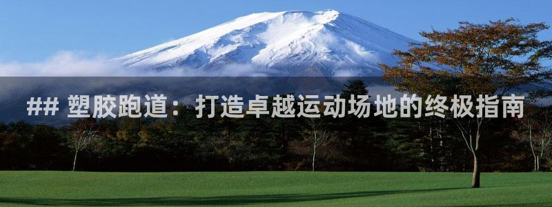 谈球吧体育app登陆不上：## 塑胶跑道：打造卓越运动场地的终极指南