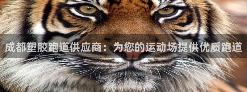 谈球吧的聊天软件叫什么名字：成都塑胶跑道供应商：为您的运动场提供优质跑道