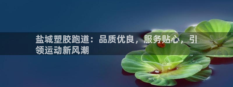 谈球吧app官方下载：盐城塑胶跑道：品质优良，服务贴心，引
领运动新风潮