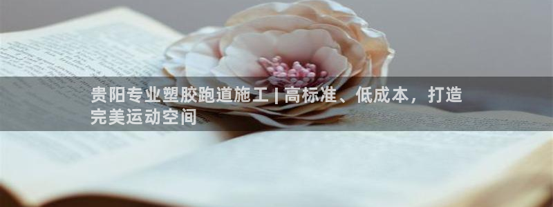 谈球吧的聊天软件是什么