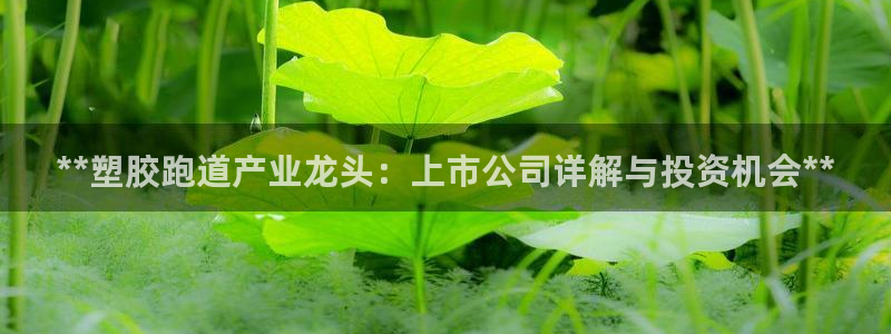 谈球吧体育app下载官网苹果：**塑胶跑道产业龙头：上市公司详解与投资机会**