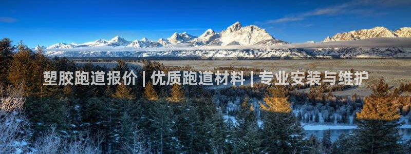 谈球吧论坛：塑胶跑道报价 | 优质跑道材料 | 专业安装与维护