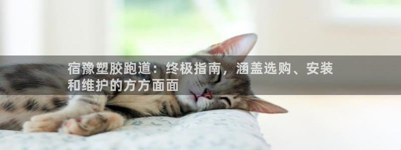 谈球吧算违法行为吗为什么：宿豫塑胶跑道：终极指南，涵