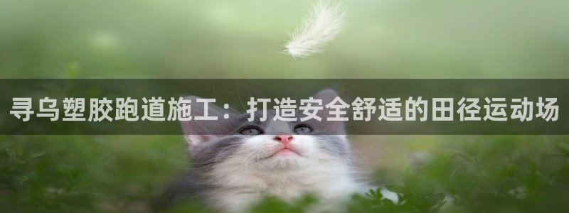 谈球吧体育app下载足球比赛视频：寻乌塑胶跑道施工：打造安全舒适的田径运动场