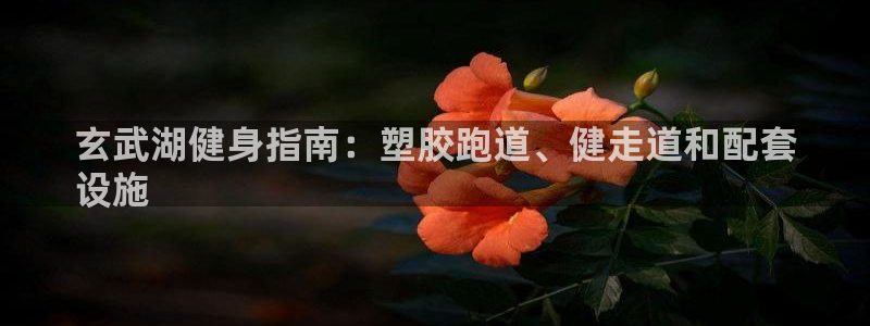 谈球吧黑款不：玄武湖健身指南：塑胶跑道、健走道和配套
设施