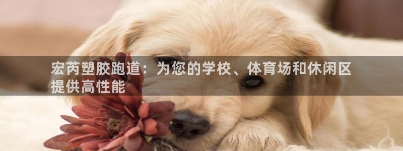 谈球吧体育app下载中心官方网站：宏芮塑胶跑道：为您