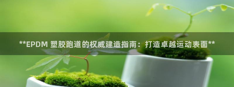 谈球吧官网在线入口免费观看视频下载