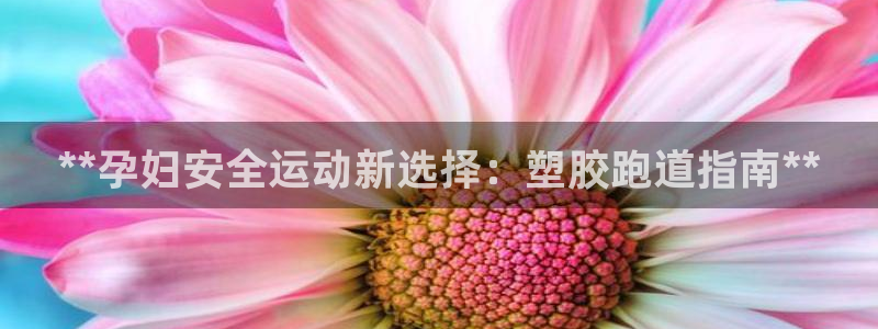 谈球吧的聊天软件叫什么来着：**孕妇安全运动新选择：塑胶跑道指南**