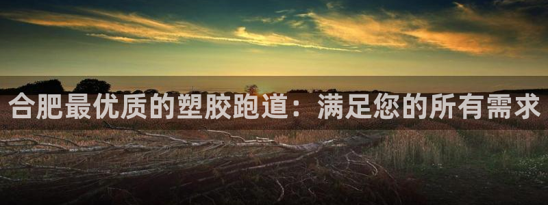 谈球吧官网在线入口免费观看视频：合肥最优质的塑胶跑道：满足您的所有需求