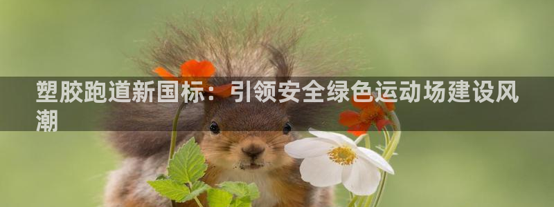 谈球吧体育app下载中心官网：塑胶跑道新国标：引领安全绿色运动场建设风
潮