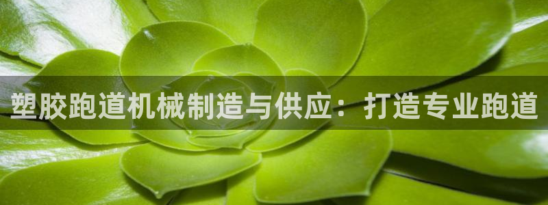 谈球吧咋样黑钱：塑胶跑道机械制造与供应：打造专业跑道