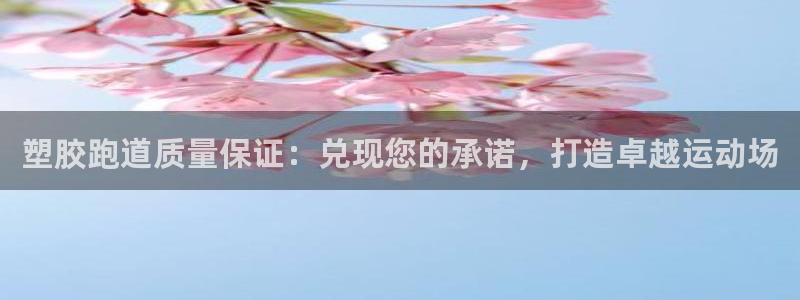 谈球吧平台正规吗：塑胶跑道质量保证：兑现您的承诺，打造卓越运动场