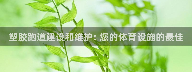 谈球吧体育官方入口：塑胶跑道建设和维护: 您的体育设