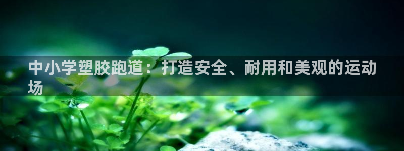 谈球吧体育app官网下载：中小学塑胶跑道：打造安全、耐用和美观的运动
场