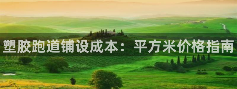谈球吧app靠谱吗：塑胶跑道铺设成本：平方米价格指南
