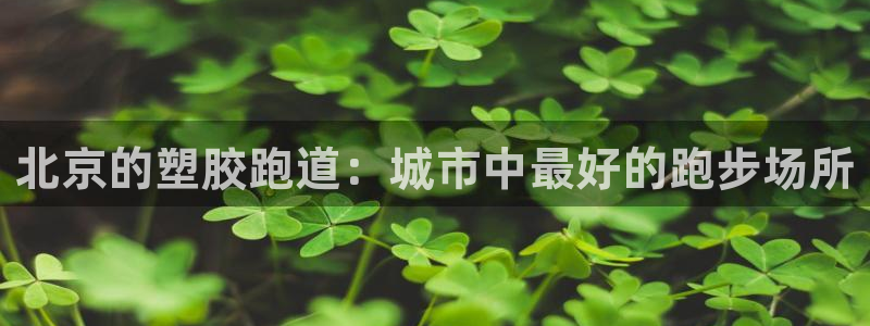 谈球吧APP开元：北京的塑胶跑道：城市中最好的跑步场