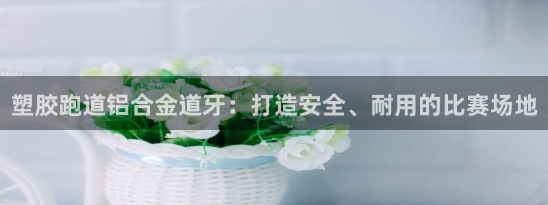 谈球吧不出款：塑胶跑道铝合金道牙：打造安全、耐用的比