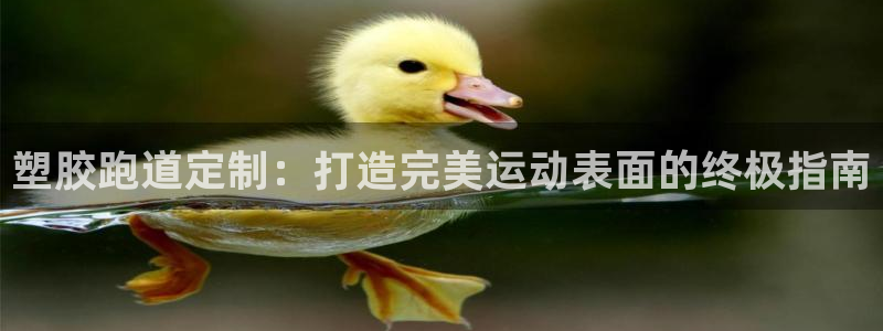 谈球吧登录：塑胶跑道定制：打造完美运动表面的终极指南