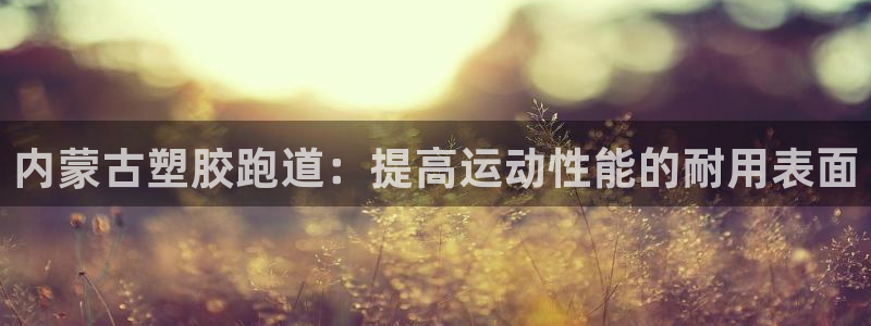 谈球吧体育官网在线入口免费观看：内蒙古塑胶跑道：提高运动性能的耐用表面