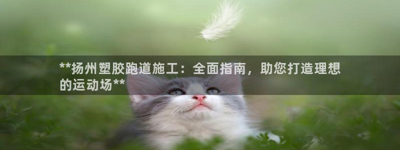谈球吧下载地址：**扬州塑胶跑道施工：全面指南，助您打造理想
的运动场**