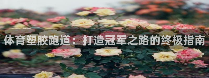 谈球吧入口：体育塑胶跑道：打造冠军之路的终极指南
