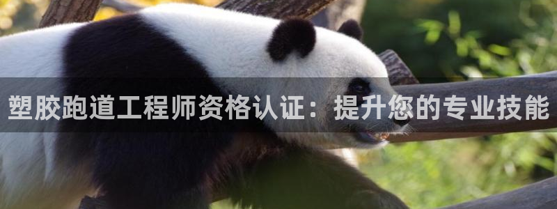 谈球吧官网在线入口手机版免费：塑胶跑道工程师资格认证：提升您的专业技能