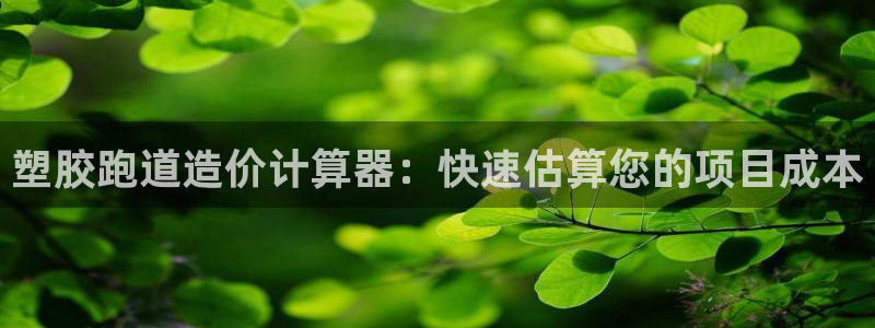 谈球吧app赛事分析在哪里看：塑胶跑道造价计算器：快