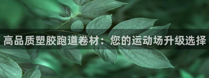 谈球吧APP：高品质塑胶跑道卷材：您的运动场升级选择