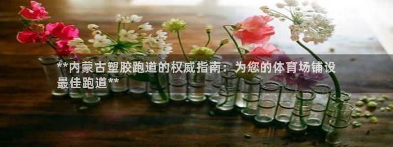 谈球吧体育app下载中心在哪：**内蒙古塑胶跑道的权