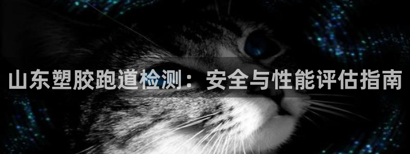谈球吧可靠吗：山东塑胶跑道检测：安全与性能评估指南