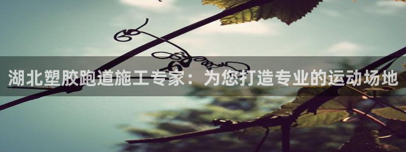 谈球吧网站：湖北塑胶跑道施工专家：为您打造专业的运动
