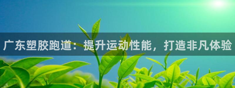 谈球吧平台：广东塑胶跑道：提升运动性能，打造非凡体验