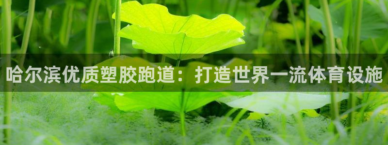 谈球吧算违法行为吗：哈尔滨优质塑胶跑道：打造世界一流