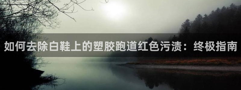 谈球吧官网在线入口免费观看视频网站：如何去除白鞋上的塑胶跑道红色污渍：终极指南