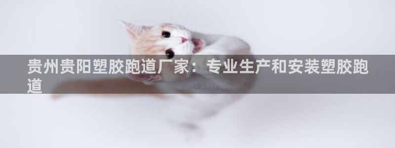 谈球吧官网下载：贵州贵阳塑胶跑道厂家：专业生产和安装