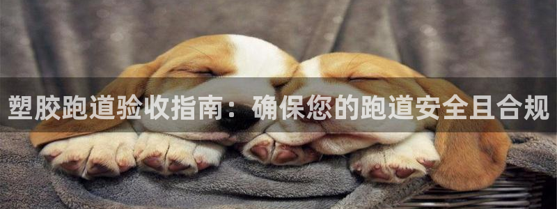 谈球吧红包激活码