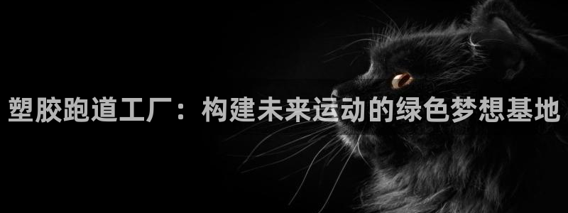 谈球吧账号有人收吗