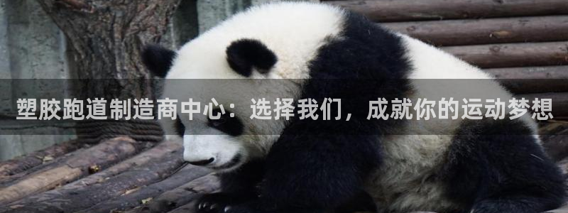 谈球吧体育app下载官网苹果版