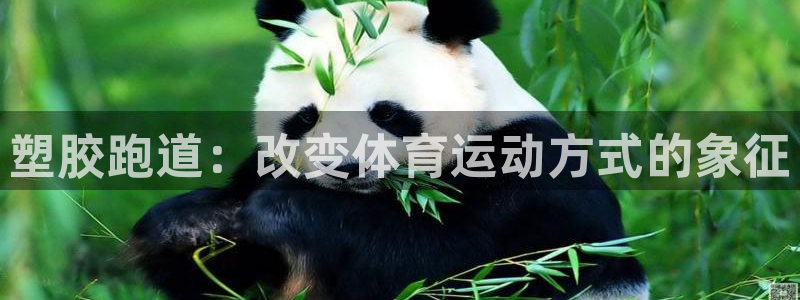 谈球吧平台正规吗可靠吗