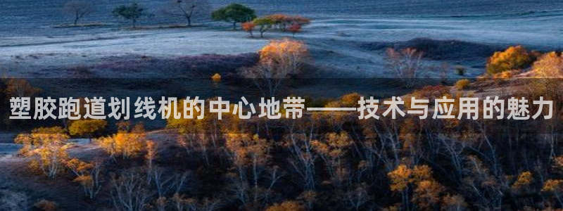 谈球吧体育app下载足球比赛直播