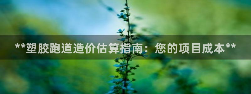 谈球吧属于哪个旗下的品牌：**塑胶跑道造价估算指南：您的项目
