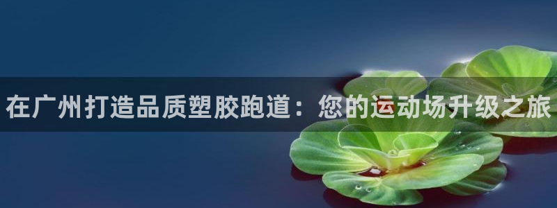 谈球吧体育综合：在广州打造品质塑胶跑道：您的运动场升级之旅