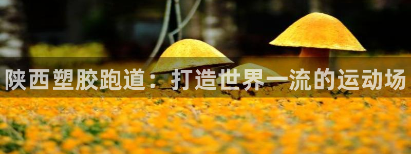 谈球吧体育：陕西塑胶跑道：打造世界一流的运动场