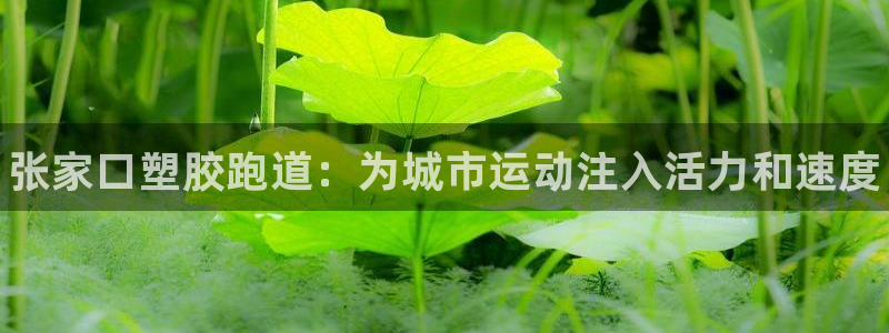 谈球吧是否诈骗：张家口塑胶跑道：为城市运动注入活力和