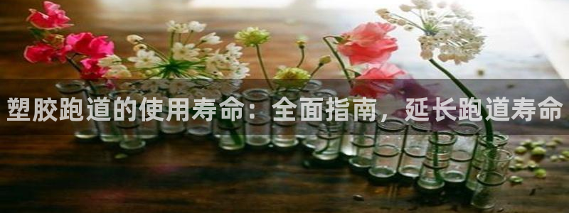 谈球吧官网在线入口手机版下载苹果：塑胶跑道的使用寿命：全面指