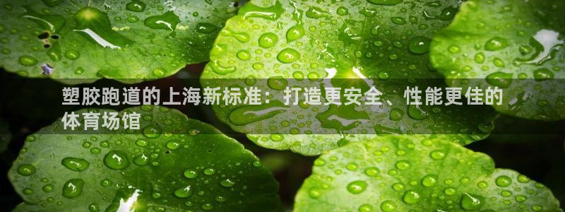 谈球吧APP：塑胶跑道的上海新标准：打造更安全、性能更佳的
体育场馆